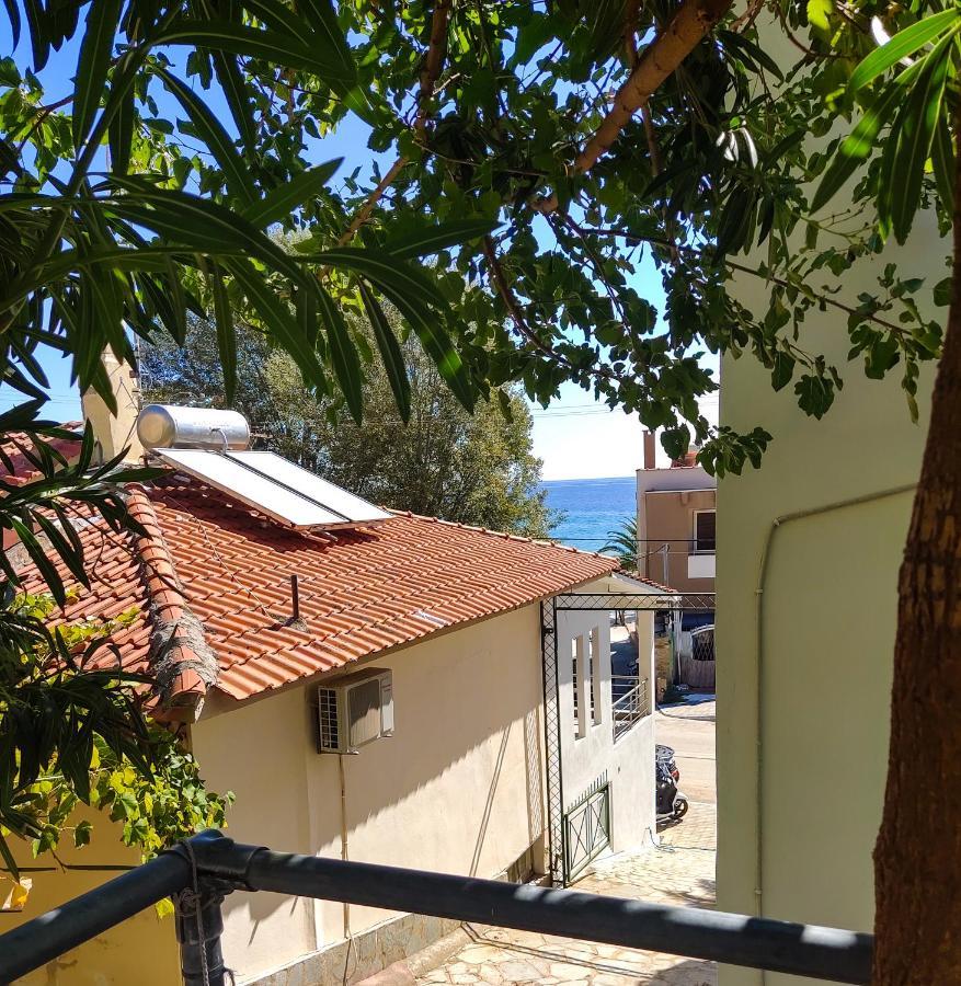 Ellinas Hotel Chrysi Ammoudia Buitenkant foto